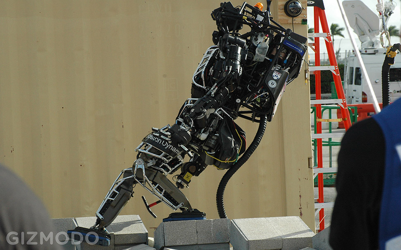 Illustration for article titled Google's Newly Acquired SCHAFT Robot Walks Away A Winner